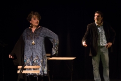 Le Salon d'été - Représentation - Savigny s/Orge